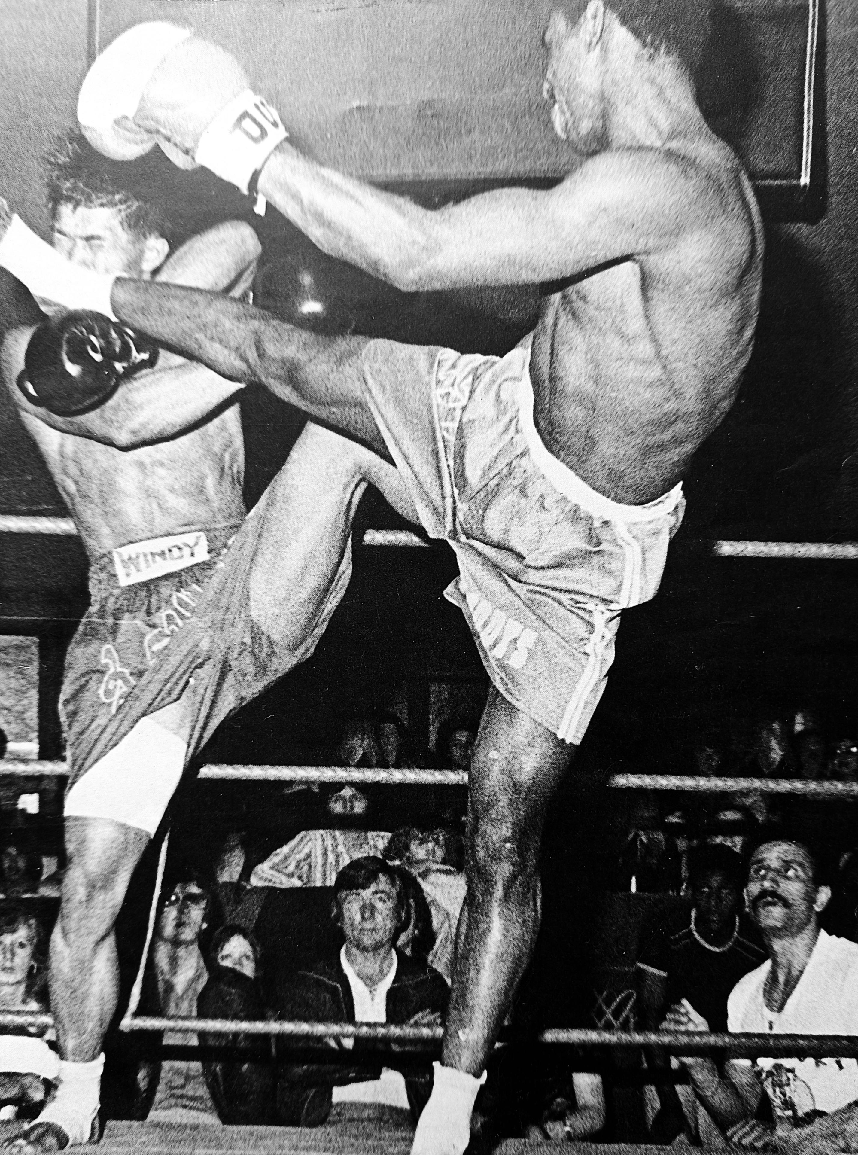 Ronnie delivering a devastating high kick