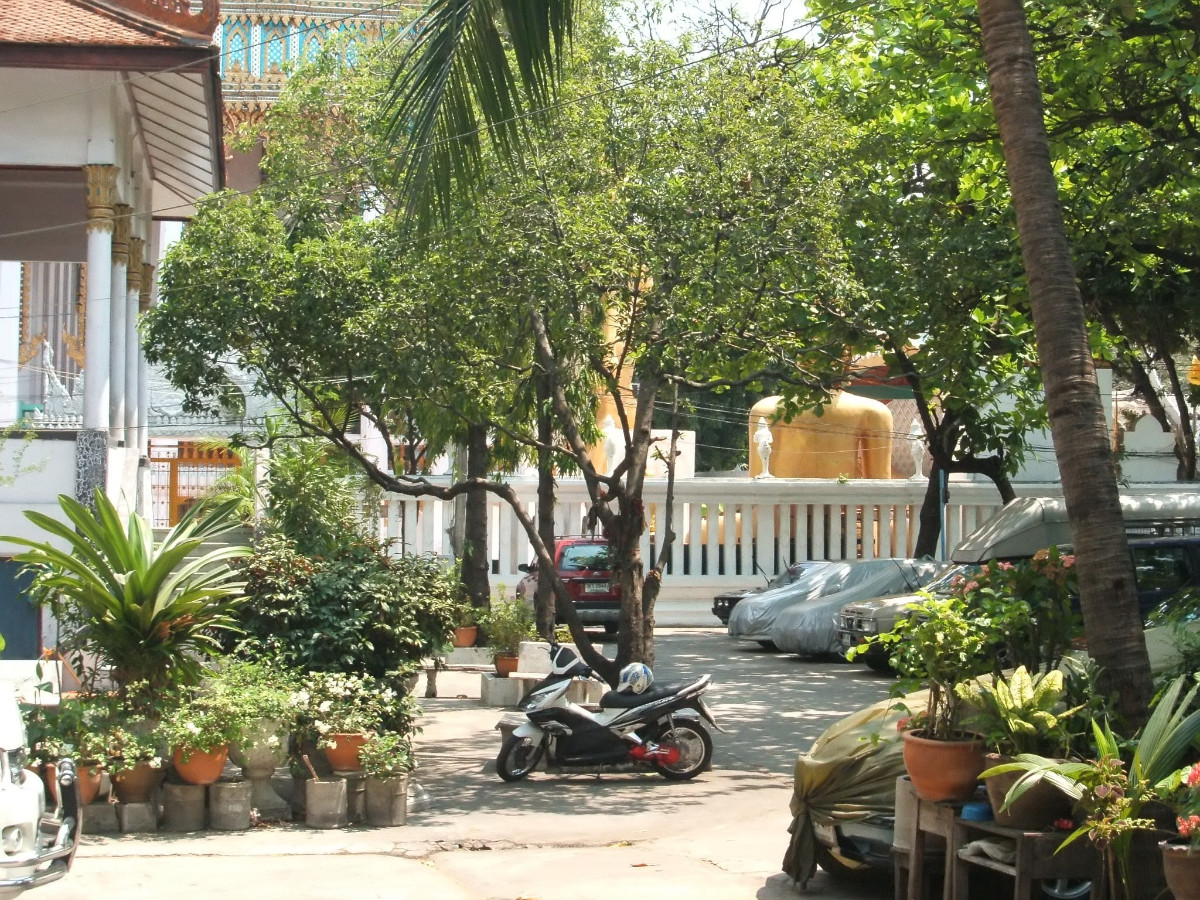 Peaceful view outside Saengmorakot Camp with golden Buddha statue visible through temple railings